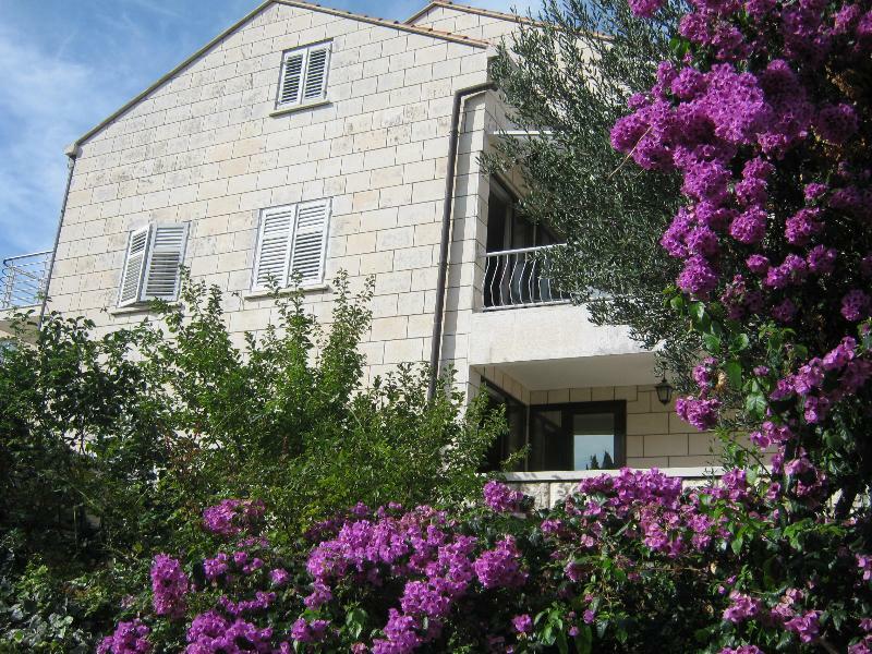 Afrodita Hotel 3*